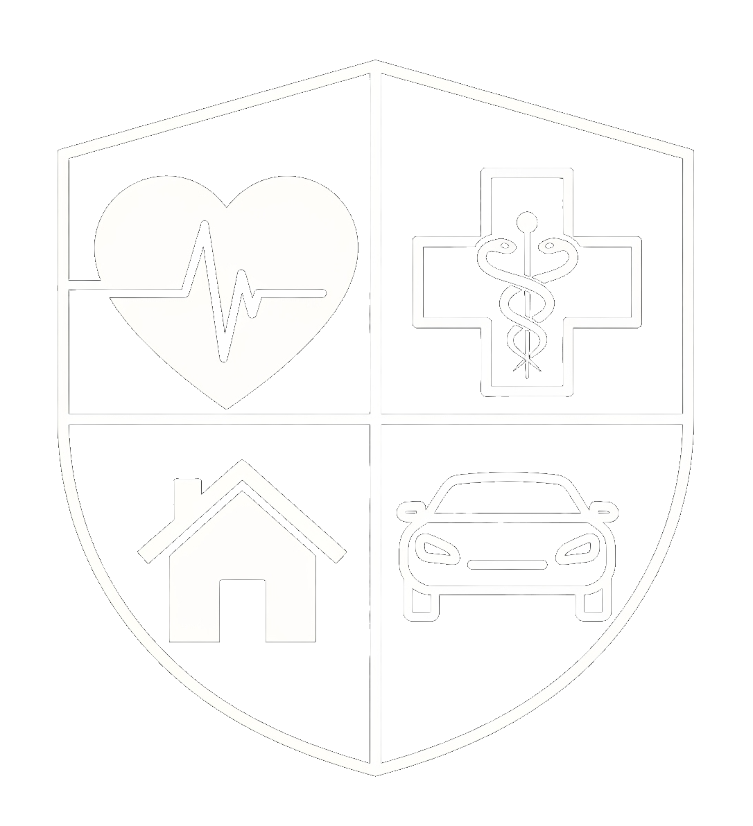 icon todos os seguros
